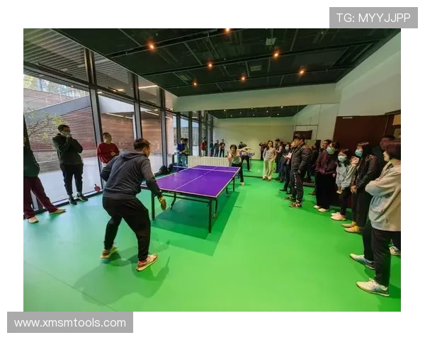 乒乓球的魅力：深入了解成都乒乓球队的默契配合与训练秘诀